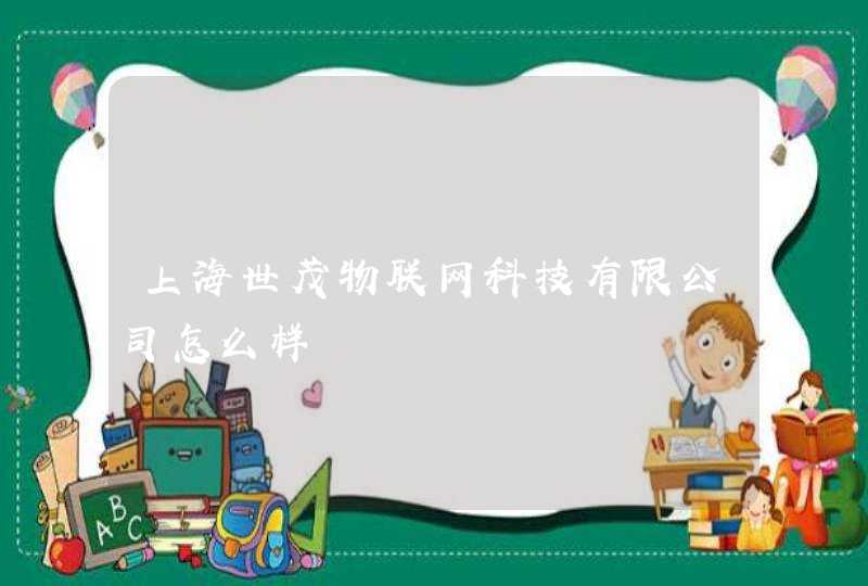 上海世茂物联网科技有限公司怎么样