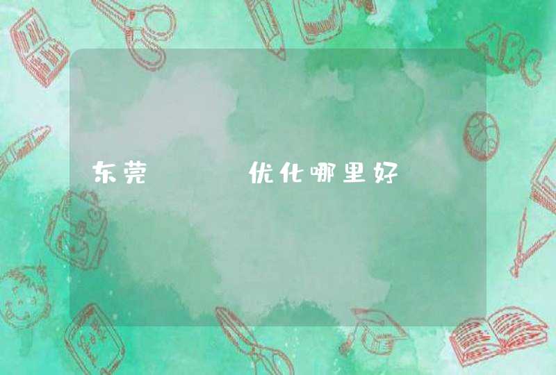 东莞seo优化哪里好？