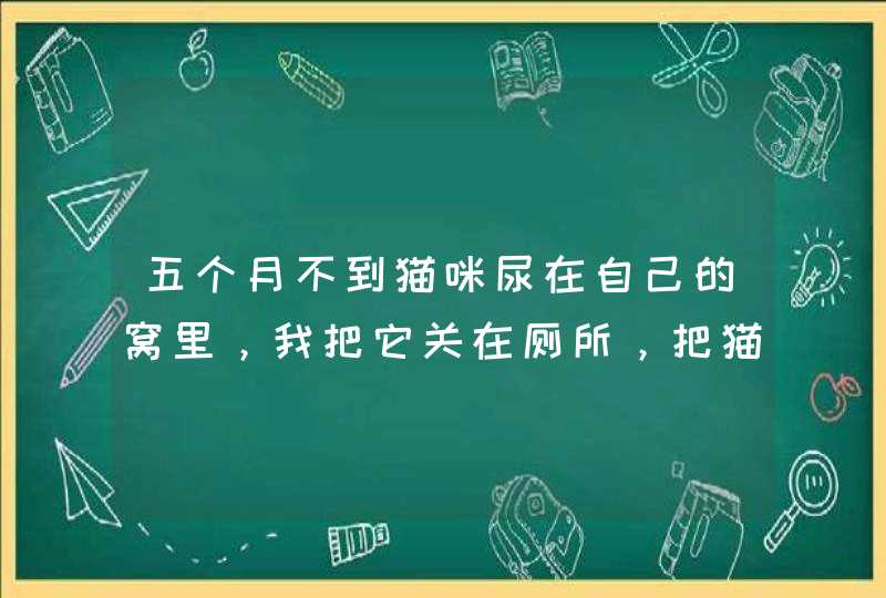 五个月不到猫咪尿在自己的窝里，我把它关在厕所，把猫砂盘放在里面可不可以