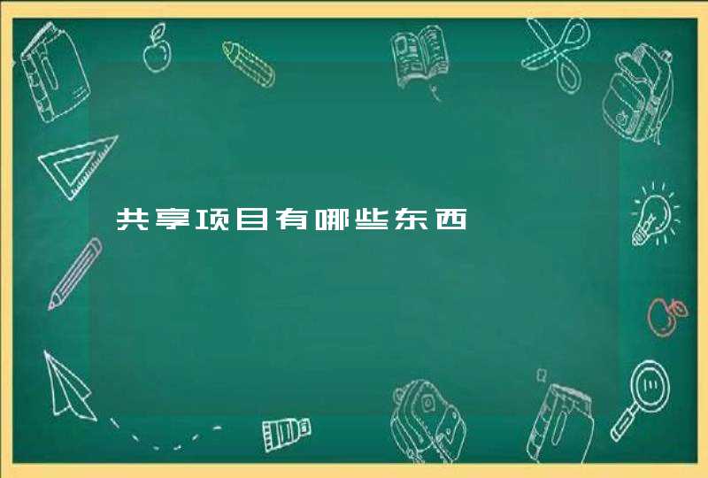 共享项目有哪些东西