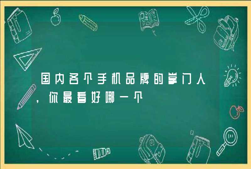 国内各个手机品牌的掌门人，你最看好哪一个