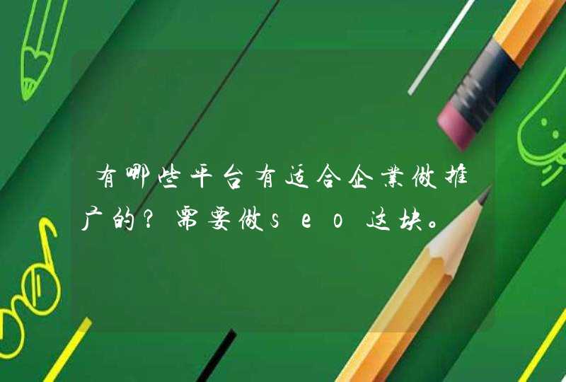 有哪些平台有适合企业做推广的？需要做seo这块。