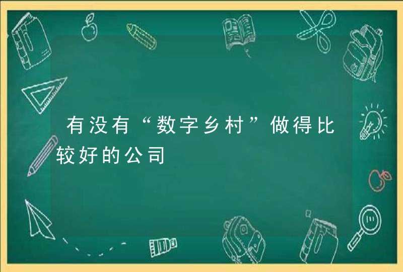 有没有“数字乡村”做得比较好的公司