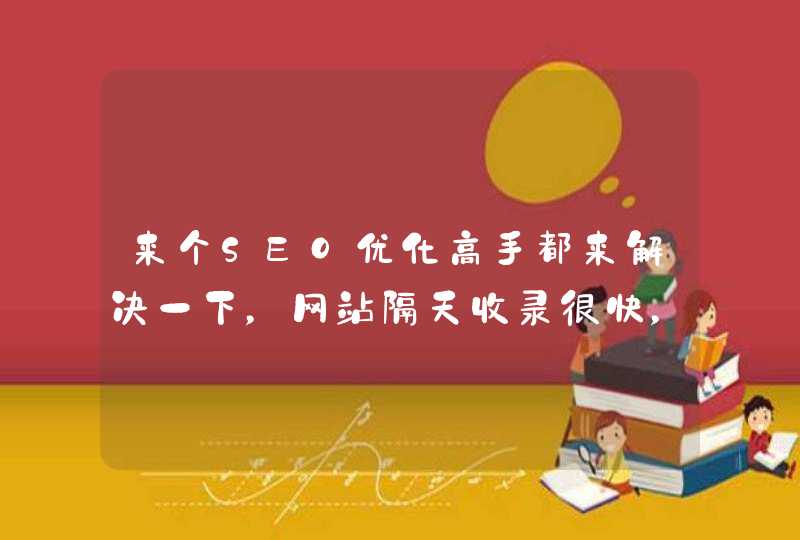 来个SEO优化高手都来解决一下，网站隔天收录很快，百度关键词无排名！