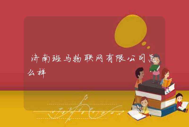 济南斑马物联网有限公司怎么样