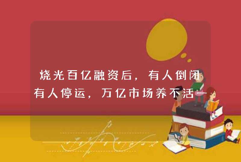 烧光百亿融资后，有人倒闭有人停运，万亿市场养不活一家母婴电商