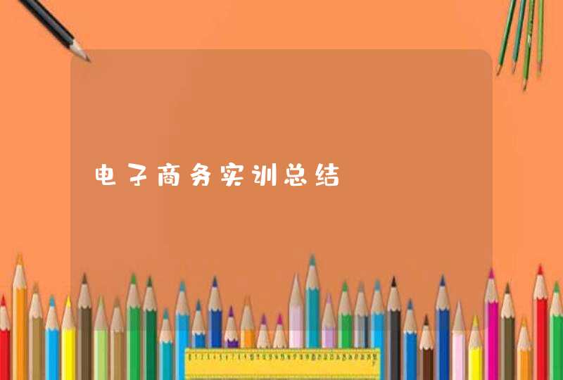 电子商务实训总结
