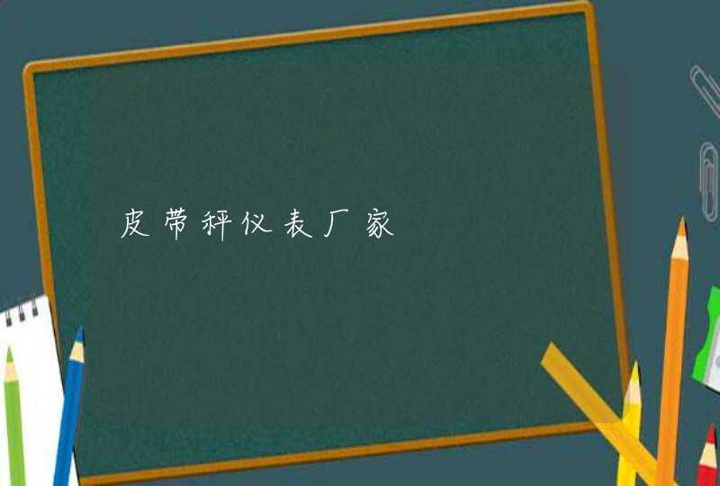 皮带秤仪表厂家