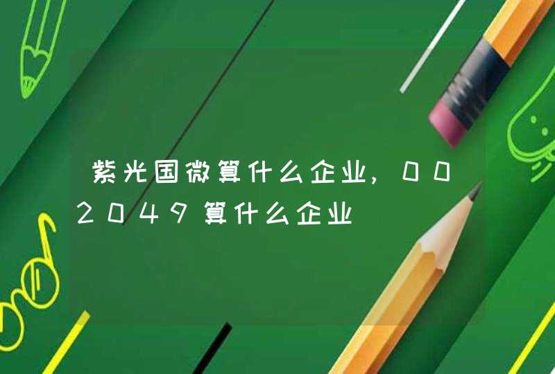 紫光国微算什么企业,002049算什么企业