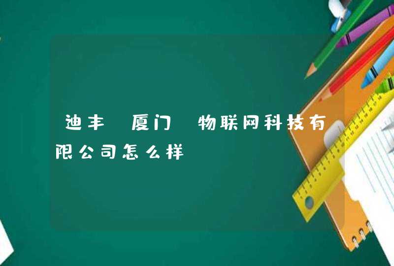 迪丰（厦门）物联网科技有限公司怎么样