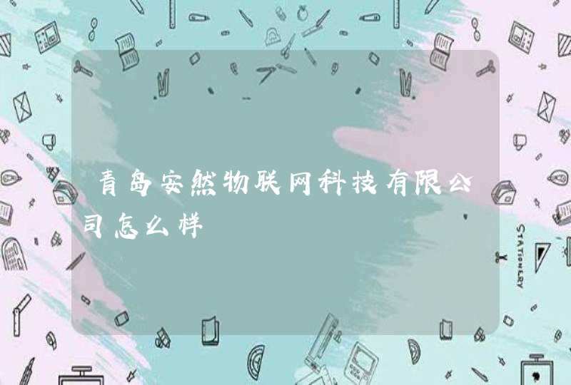 青岛安然物联网科技有限公司怎么样