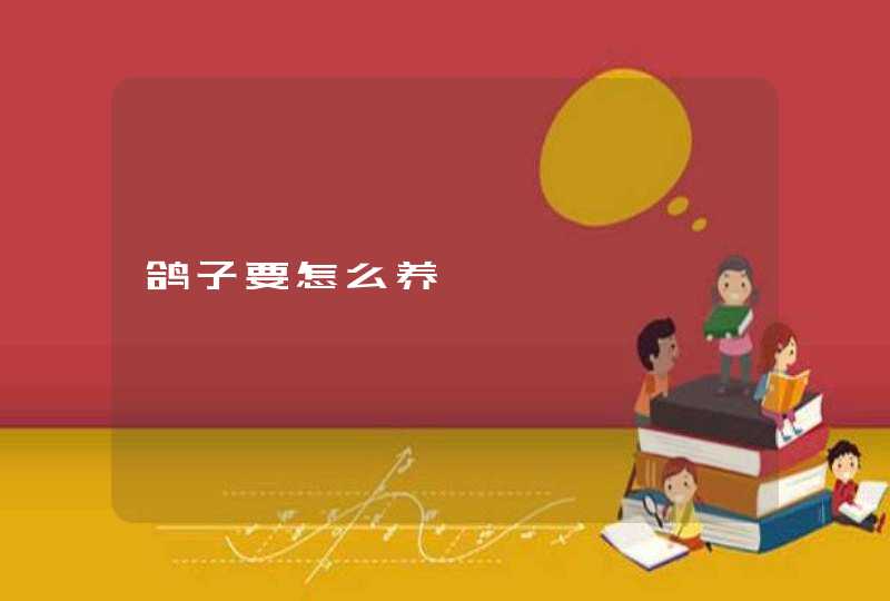 鸽子要怎么养