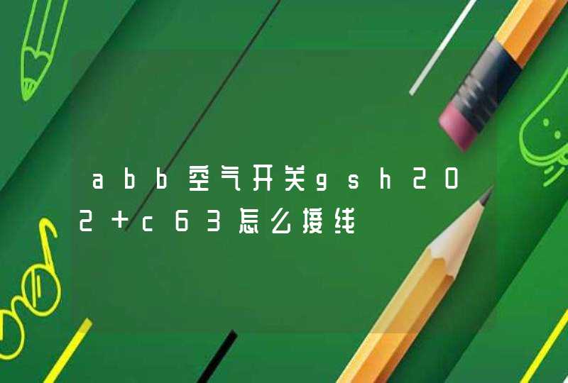abb空气开关gsh202 c63怎么接线