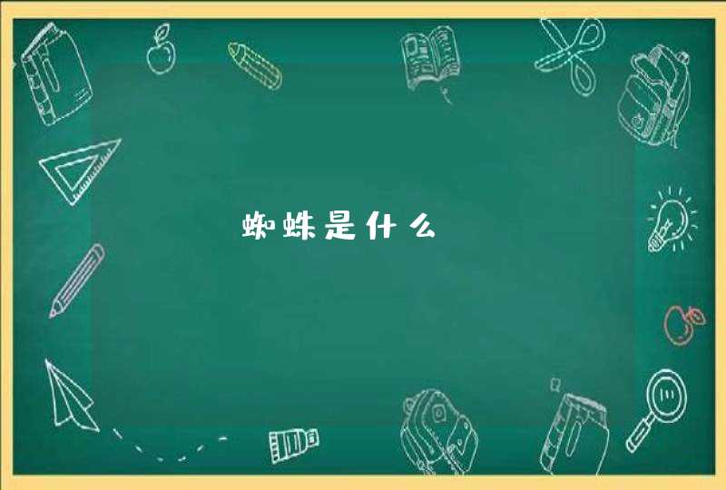 seo蜘蛛是什么